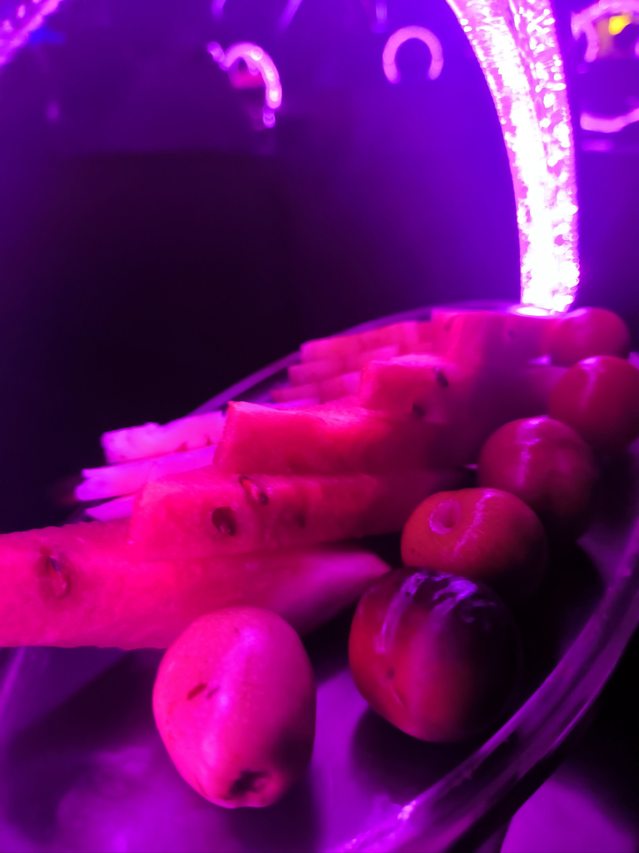 自贡商务ktv首选，单人包厢畅享高品质音乐错过不可！-富顺县ktv预定